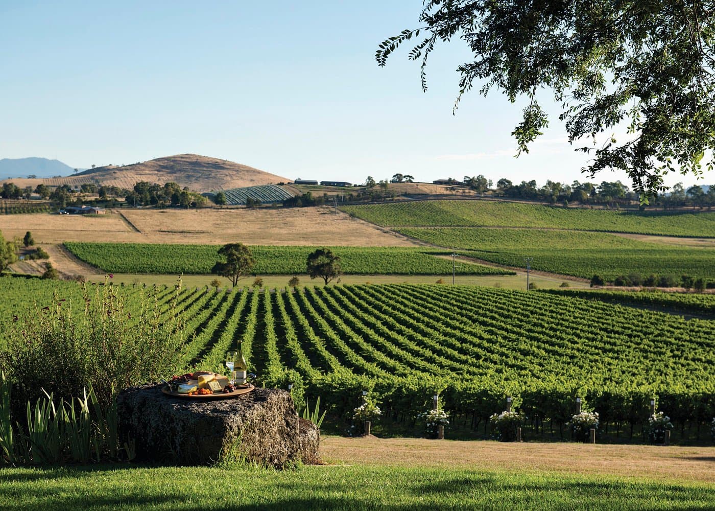 Yarra Valley Food & Wine — Small Group Tour