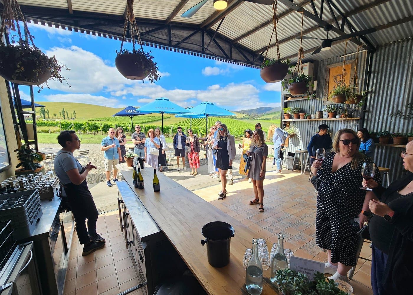 Yarra Valley Wine & Food Tour — Premium