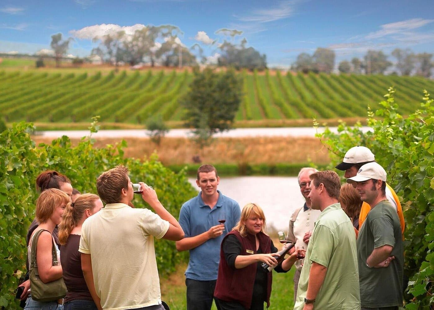 Yarra Valley Wine & Winery Tour — Classic